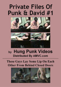 Private Files Of Punk And David